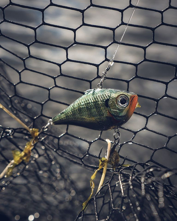 Cykada Rapala Rippin Rap 5cm | CHB