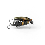 Wobler Imago Lures Maybug 2,5cm Surface Exclusive - pływający - BK