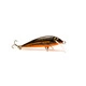 Red Minnow