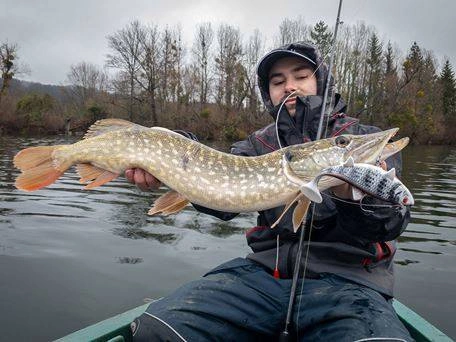 FOX RAGE Replicant Wobble 7.5cm 10g Super Natural Roach - 2szt