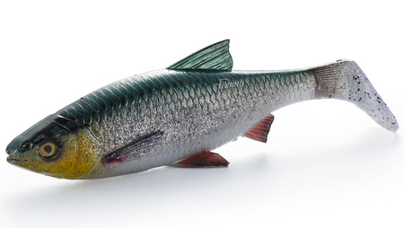 Guma Savage Gear 4D LB River Roach 18cm | Green Silver