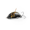 Wobler Imago Lures Maybug 3,5cm Flow - pływający - BK