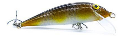 Wobler Engima Baits Pstrągowy 6cm | Kiełb | tonący