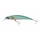 11 \ Holo Herring