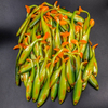 Guma Angry Lures Bleak v2 12,5cm | GYO