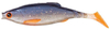Guma Berkley Pulse Realistic Roach 7cm | Roach