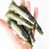 Guma Angry Lures Pike 19cm | NTA