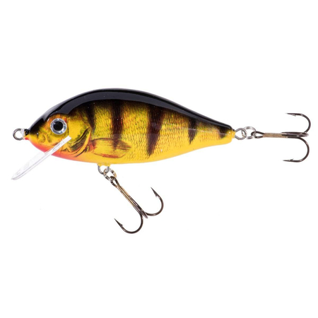 Wobler Jaxon Karaś 11cm | OG | pływający