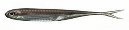 Fish Arrow Flash-J Split 3" - Wakasagi/Silver #07 - 1 szt.