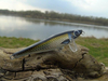 Wobler z Basoni River Bleak 7cm - 11g - czarno-złoty