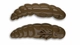 038 Brown