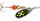 srebrny / seledynowe kropki \ 1