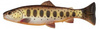 .Guma SAVAGE GEAR 3D Craft Trout Pulsetail 20cm 104g Brown Trout Smolt