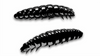 Przynęta Libra Lures Larva 3.5cm | 040 - Black | ser | 12 szt.