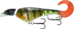 Headbanger Colossus Curly 31cm - Natural Perch - neutralny