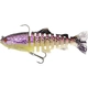 Ghost Trout