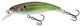 Real Holographic Shad