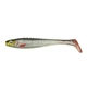 Silver Shiner