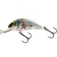 Silver White Shad