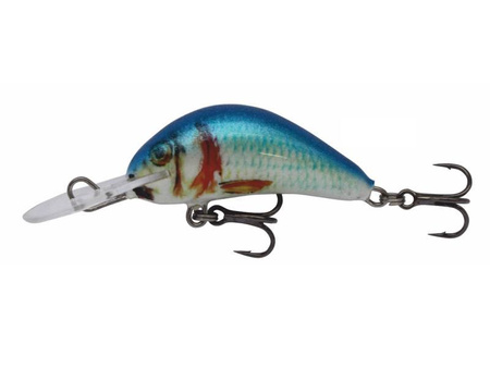 Wobler Kenart Diver 4cm | NRB | pływający |