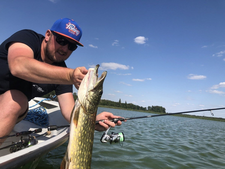 ..Kołowrotek Shimano Stradic FL C3000 HG - szybkie przełożenie