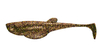 Przynęta Libra Lures Embrion Shad 2" | 5 cm | 033 - Motor Oil Brown | 10 szt.