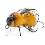 Wobler Engima Baits Osa 3,5cm | Osa Pospolita | pływający