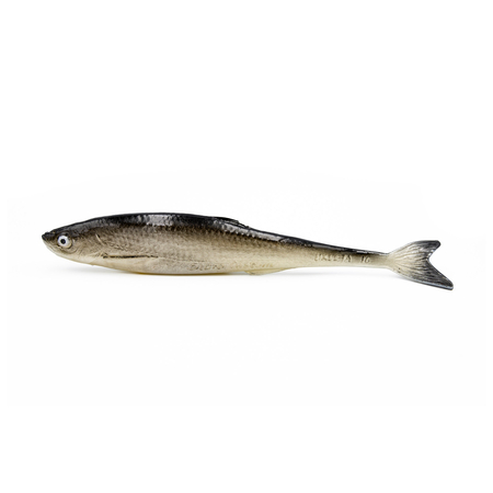 Guma SEWRO CUSTOM BAIT Ukleja 16cm- Czarna Naturalny Ogon
