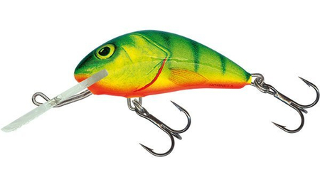 Wobler Salmo Hornet 6cm | Hot Perch | pływający