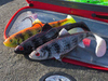 Guma Fox Rage Replicant Wobble 7,5cm | 10g | Zebra UV | 2szt.