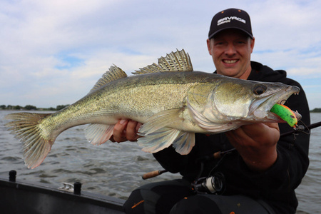 Guma Savage Gear Fat Minnow T-Tail 7,5cm | Holo Baitfish