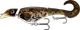 Burbot