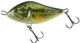 Largemouth Bass