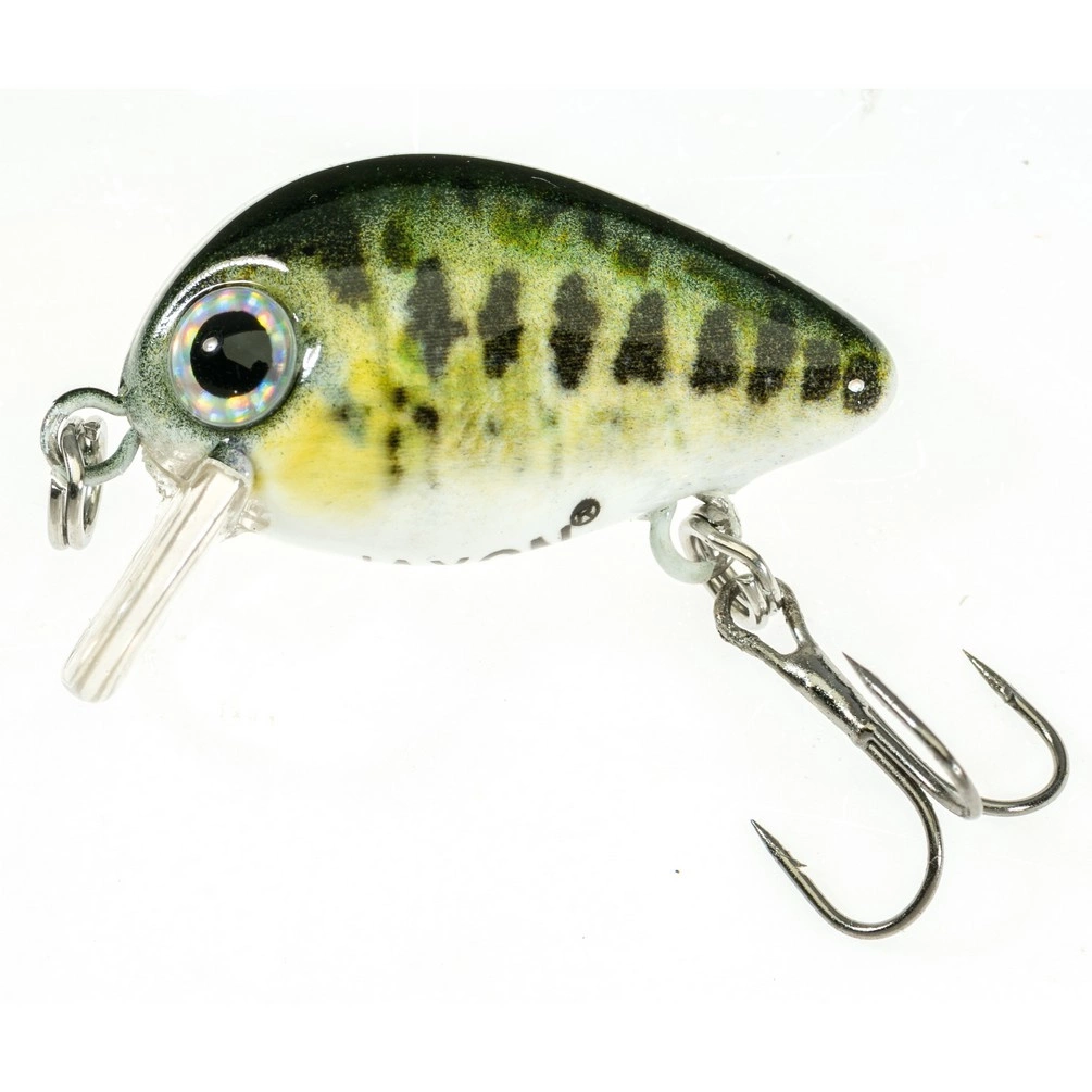 Wobler Jaxon Atract Pixel 2,5cm | B | pływający