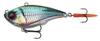 Przynęta Savage Gear Fat Vibes XL 10cm | Roach