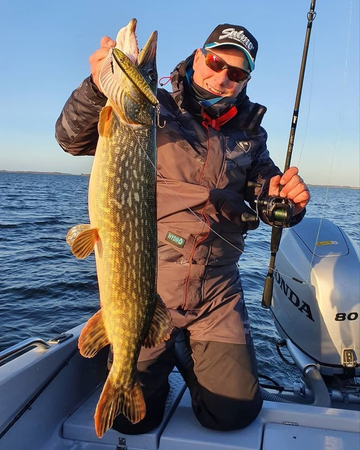 Wobler Salmo Sweeper 14cm | Real Pike | tonący