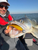Guma Fox Rage Zander Pro Shad 12cm | Golden Shiner