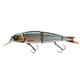 Roach