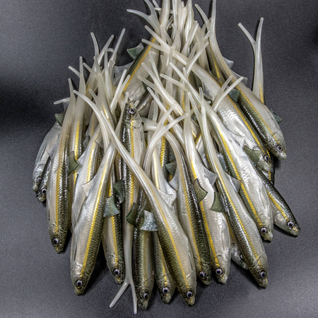 Guma Angry Lures Bleak V-Tail 20cm | WGY