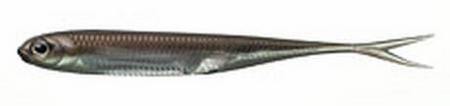 Fish Arrow Flash-J Split 3" - Wakasagi/Silver #07 - 1 szt.