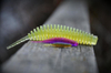 Gumy FishUp Tanta 2,2cm | 1" | #017/Motor Oil Pepper | 12szt.