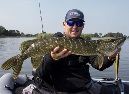 Guma Westin ShadTeez High 12cm | Sparkling Blue