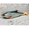 Guma SEWRO CUSTOM BAIT Płoć 18cm