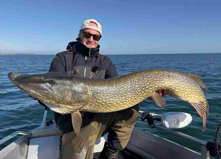 .Guma Savage Gear 3D Whitefish Shad 23cm | Green Silver