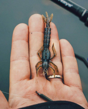 Guma Nays DRGN 30 | 7.6cm | C-33 | 7 szt.