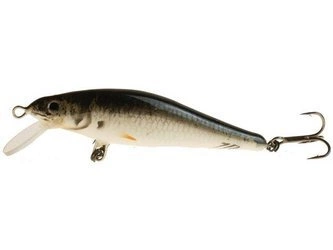 Wobler JR - Płoć 60 - Pływający