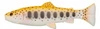 .Guma SAVAGE GEAR 3D Craft Trout Pulsetail 20cm 104g Golden Albino