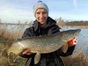 Guma Mikado Sicario Pike Tail 24cm Spotted Bullhead