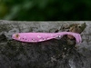 Fox Rage Slick Shad 11 cm Pink Candy UV 