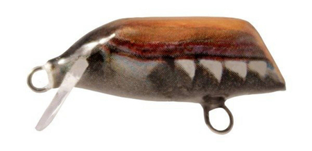 Wobler Dorado Beetle 3cm | pływający | NBT